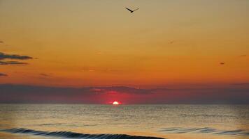 Beautiful Myrtle Beach sunrise. The morning light illuminated the gorgeous sky, which was full of color. A silhouette of a condor. photo