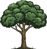 Large green leafy tree with sturdy brown trunk illustration natural flora design vector