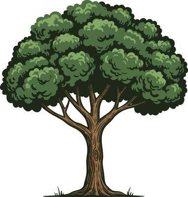 Large green leafy tree with sturdy brown trunk illustration natural flora design