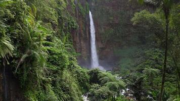 Cinematic aerial view of Kapas Biru waterfall cascading down a tall cliff into a lush green canyon, surrounded by tropical rainforest in East Java, Indonesia. video