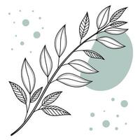 Elegant Botanical Line Art Branch vector