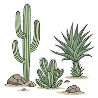 Desert Cactus and Succulent Plant Set vector