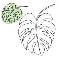 Minimalist Monstera Leaf Line Art vector