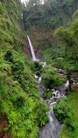 Cinematic FPV drone shot diving through scenic Kapas Biru waterfall cascading down a tall cliff into lush green canyon, surrounded by tropical rainforest in East Java, Indonesia. video