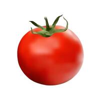 Realistic digital illustration of a fresh tomato with green leaves, isolated on a white background vector