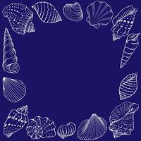 Frame seashells with copy space for design or message. Hand drawn vector