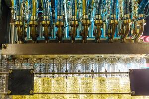 Automated Sunflower Oil Production Line in Modern Factory with Filling Nozzles and Transparent Bottles photo