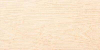 light wood texture in high resolution. natural board background photo