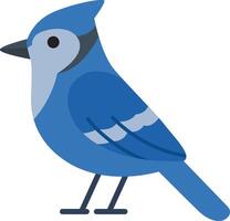 Cute jay bird, striking blue beauty with a vibrant personality. Suitable for nature themed designs, greeting cards, and wildlife publications vector