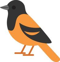 Cute baltimore oriole bird. Suitable for nature blogs, wildlife articles, birdwatching resources, or educational materials vector