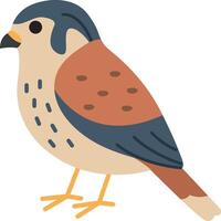 Cute kestrel falcon perches gracefully on a tiny American kestrel. Perfect for wildlife blogs, educational materials, and nature conservation campaigns vector