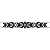 Elegant Black Floral Border on White Background 20 - Pattern vector
