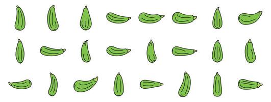Set of green zucchini squash icons showing different positions and rotations vector