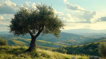 Ancient olive tree stands sentinel over rolling Tuscan hills at sunset. This picturesque scene captures the serene beauty of the Italian countryside under a warm, golden sky. photo