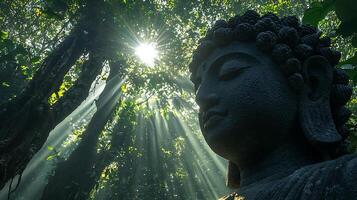 Serene Buddha statue bathed in ethereal sunbeams filtering through a lush jungle canopy. photo