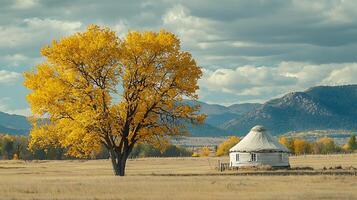 Autumn landscape with a yurt and a vibrant yellow tree under a cloudy sky. photo
