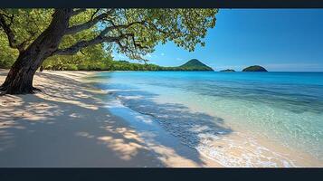 Idyllic tropical beach scene with a large shady tree casting dappled light on the sand. The clear turquoise ocean meets a lush green coastline under a bright blue sky. photo