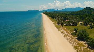 Scenic tropical coastline with lush green foliage and clear turquoise waters. This aerial view captures a serene beach meeting a vibrant jungle landscape under a bright sky. photo