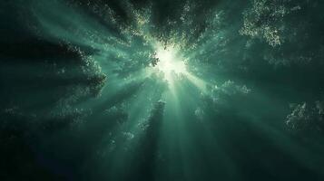 Ethereal sunlight streams through the canopy of a lush, green forest. Beams of light pierce the foliage, creating a mystical and serene atmosphere. photo