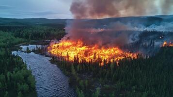 Aerial view of a wildfire raging through a dense forest alongside a calm river. The intense flames are casting a dramatic orange glow against the smoky sky. photo