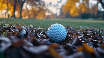 A golf ball rests on a bed of fallen leaves with a blurred autumn landscape in the background. This image captures the serene beauty of a golf course during the fall season. photo