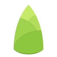 Bamboo shoots . Bamboo shoots on white background. Bamboo shoot isolated. vector