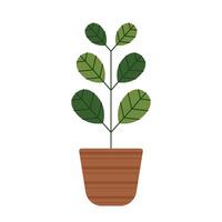 Plants in pot . Plants in pot icon. Plants cartoon. vector