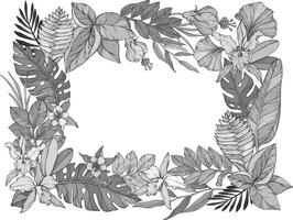 A monochrome grey illustration of a tropical floral frame featuring orchids, hibiscus, passion flowers, and ginger flowers surrounded by leaves. vector