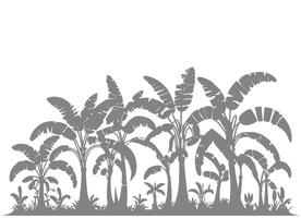 Banana Trees Silhouette for Presentation vector