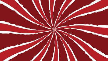 abstract red and white sunburst background vector