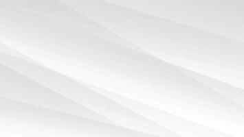 abstract white and grey background with geometric shape and lines decoration vector