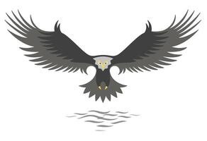 Modern simple eagle logo design, stylized graphic eagle, flying above the water,isolated on the white background. vector
