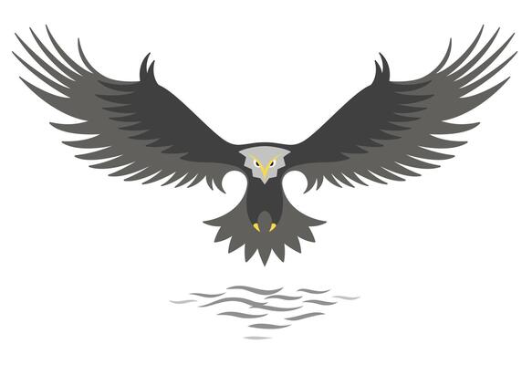 Modern simple eagle logo design, stylized graphic eagle, flying above the water,isolated on the white background.