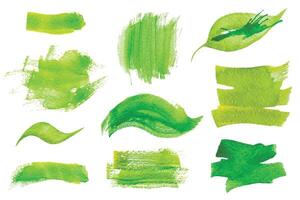 Set of fresh green hand drawn watercolor design elements,splashes,stains,dabs,leaf, on the white background for your design vector