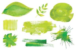 Set of fresh green hand drawn watercolor design elements,splashes,stains,dabs,branch, isolated on the white background for your design vector