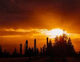 Spectacular sunset view over silhouettes of tall structures and trees at a scenic location photo