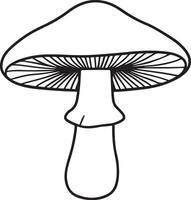 Clean boletus mushroom outline graphic for natural products vector