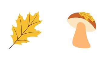 Fall elements set yellow leaf, mushroom with yellow leaf in flat design style vector