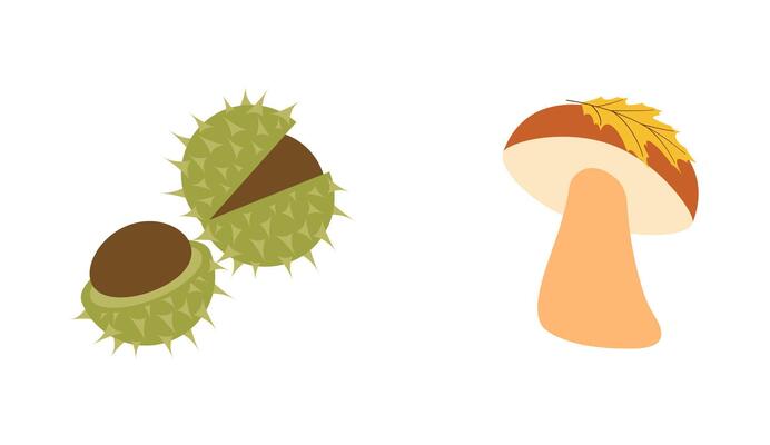 Fall season flat Icons. chestnuts, mushroom with yellow leaf in modern style. Hand drawn set for banners, cards, social media
