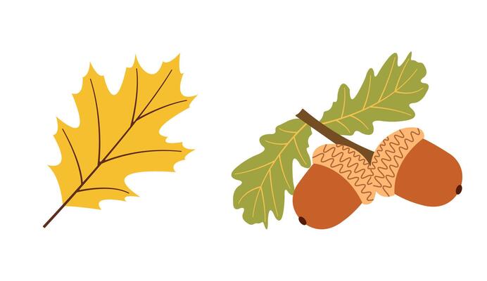 Fall season flat Icons yellow leaf, acorns in modern style