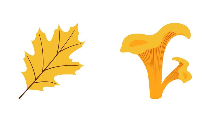 Fall season flat Icons mushrooms, yellow leaf in modern style