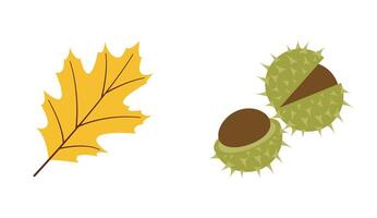 Autumn nature flat vectors yellow leaf, chestnuts for seasonal projects