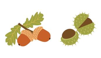 Fall elements set acorns, chestnuts in flat design style vector