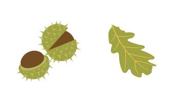 Fall nature icons in flat style. chestnuts, green leaf for design projects. Hand drawn set for banners, cards, social media vector