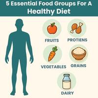 5 Essential Food Groups for a Healthy Diet Balanced Nutrition Infographic vector