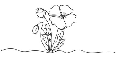 Poppy flowers in continuous line art drawing style. Doodle floral border with two flowers vector