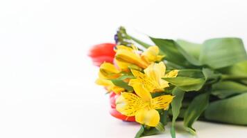 A bouquet of yellow and red flowers on a white background photo