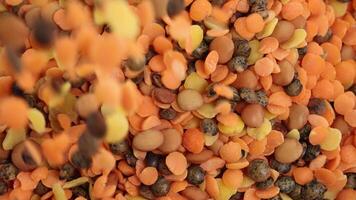 A vibrant mix of lentils and beans cascades down, creating a dynamic, colorful pattern in soft lighting video