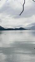 Tranquil lake scene with ducks, distant mountains, and overcast sky. Calm water reflects the serene environment video