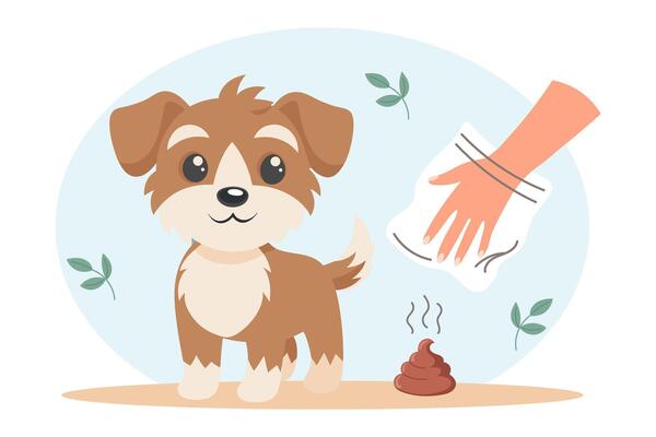 Clean up after your pet. Dog and hygienic bag for dog waste. Pet care, environmental awareness and waste disposal